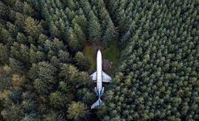صورة طائرة سليمة وسط الغابة وتفسيرات متضاربة للصورة المحيرة