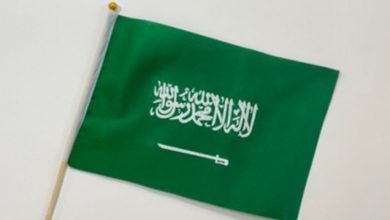 صورة من هو خطاط العلم السعودي