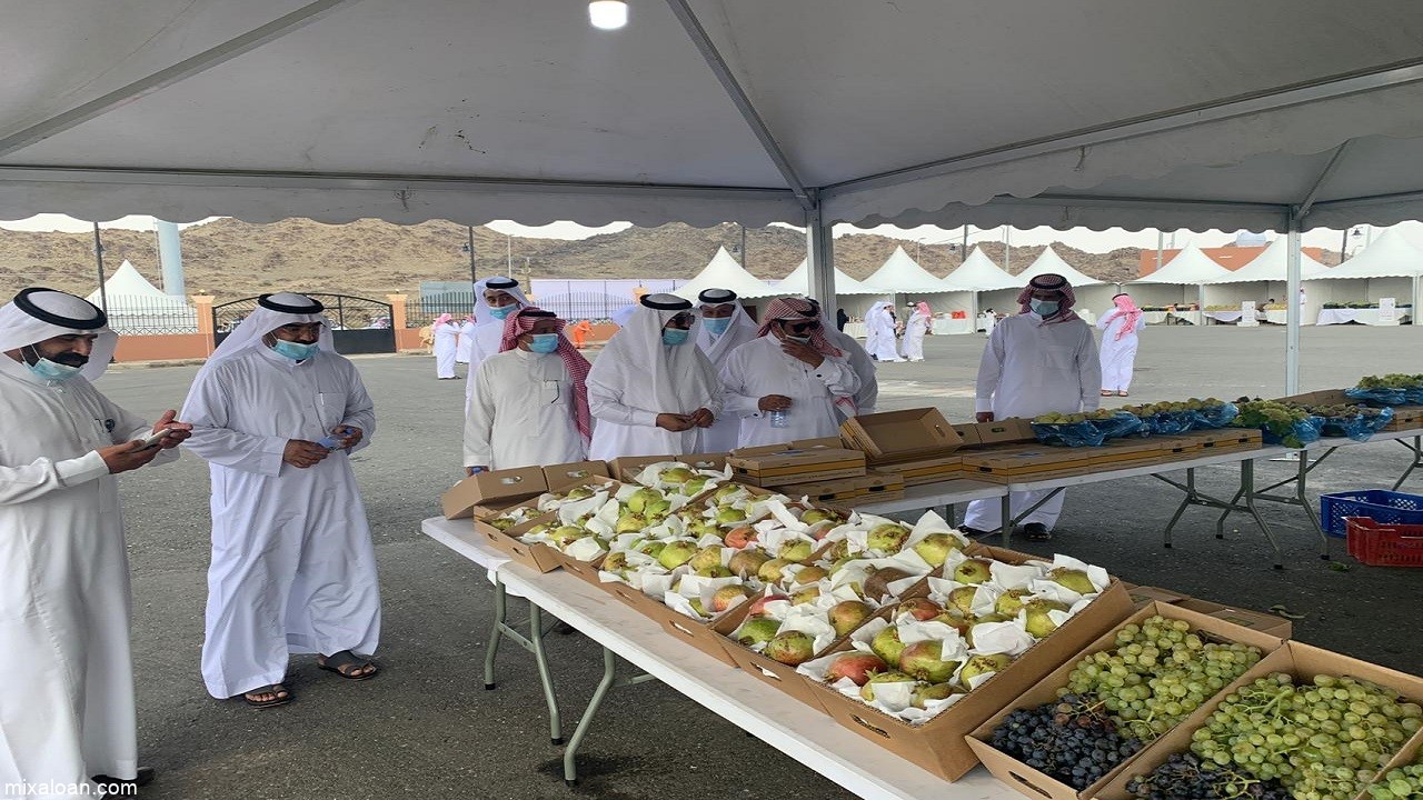 صورة أبرز فعاليات مهرجان الحمضيات في المملكة السعودية