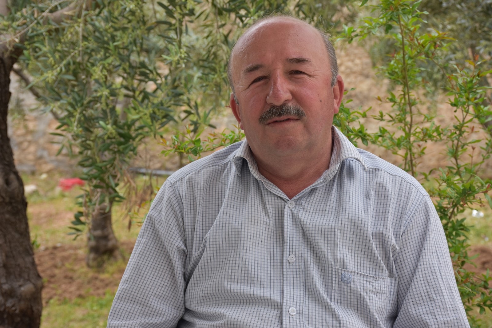 صورة من هو وليد الكردي وسبب حبسه ويكيبيديا