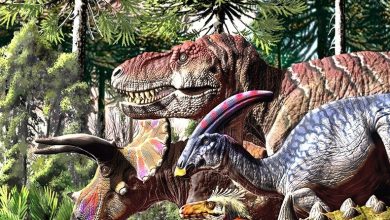 صورة سبب انقراض الديناصورات
