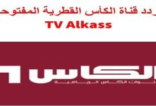 صورة تردد قناة الكاس المفتوحة عرب سات 2023 hd الجديد