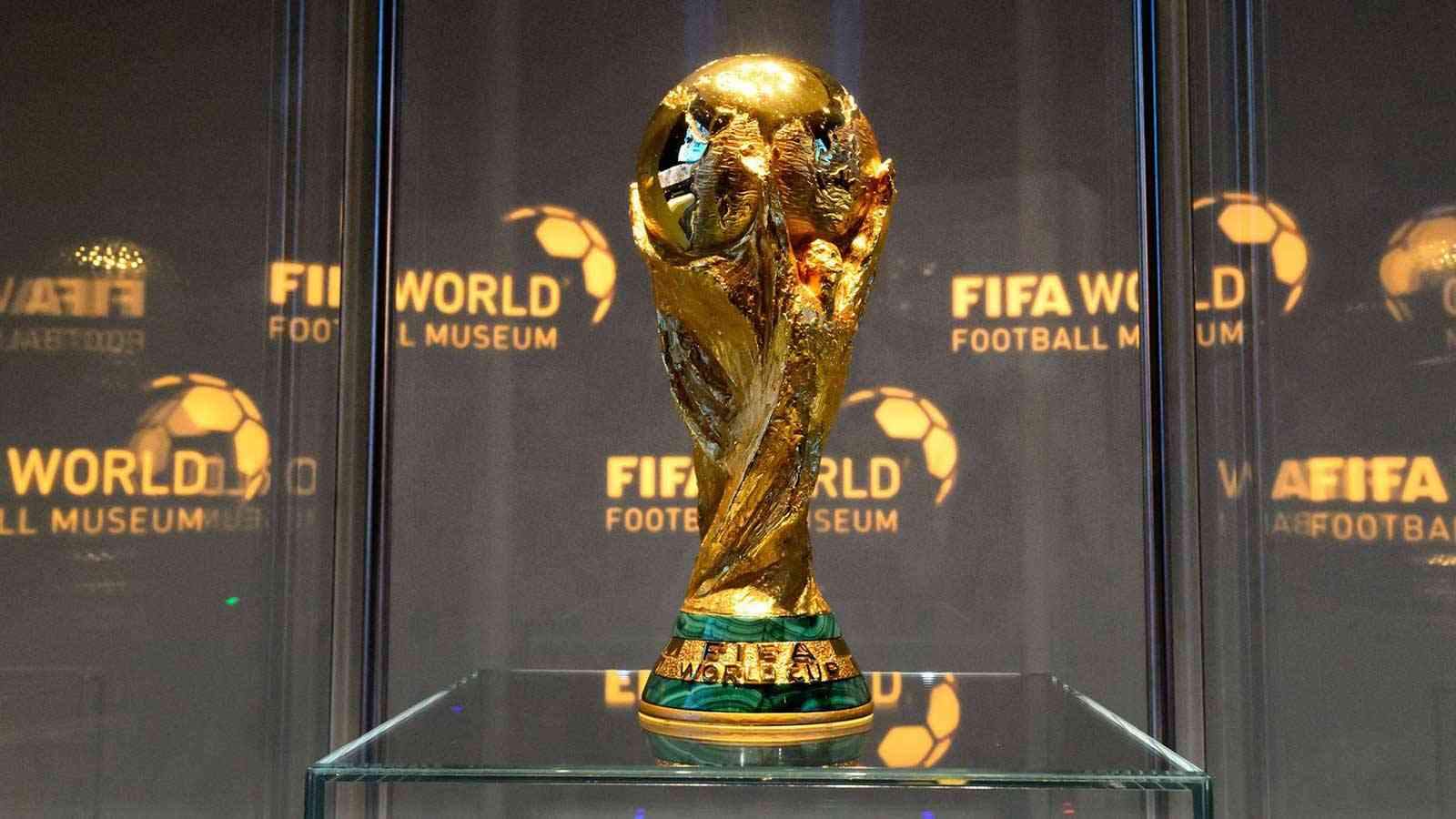 صورة عدد المنتخبات المتأهلة لكأس العالم من كل قارة 2022