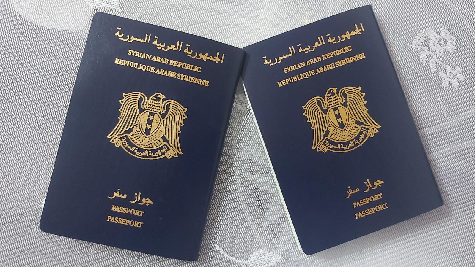 صورة رابط المنصة الالكترونية لجواز السفر السوري