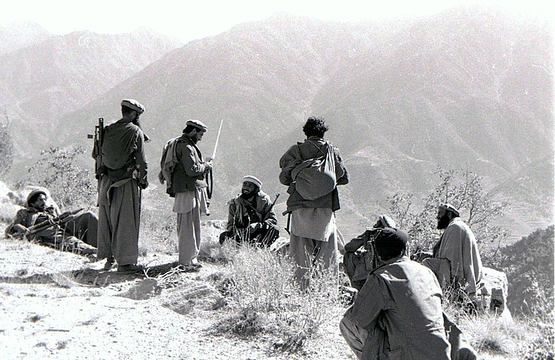 صورة استسلم الشعب الافغاني للهجوم الشيوعي الغاشم صواب خطأ