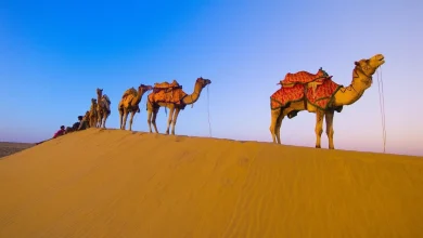 صورة كانت قبيلة قريش في مكة تقوم برحلة الشتاء بالاتجاه نحو بلاد ……. للتجارة.