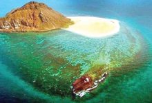 صورة معلومات عن جزيرة سندالة بوابة السياحة في البحر الأحمر