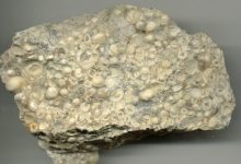 صورة الصخور الفتاتية من أنواع الصخور