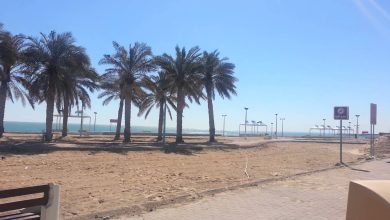 صورة اين يقع شاطئ أنجفه في الكويت