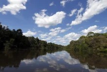 صورة اين يقع نهر الامازون