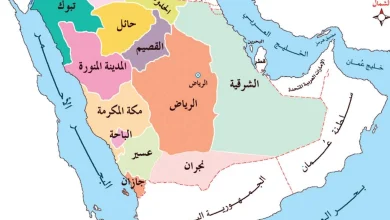 صورة ترتيب مناطق المملكة من حيث المساحة
