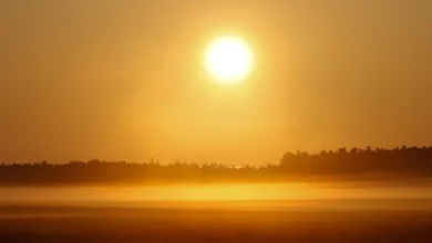 صورة تسخين الشمس للأرض مثال على انتقال الحرارة