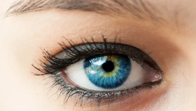 صورة تطرف عين الإنسان بمعدل ١٢ مرة في الدقيقة . كم مرة تطرف عين الإنسان في ساعة ؟