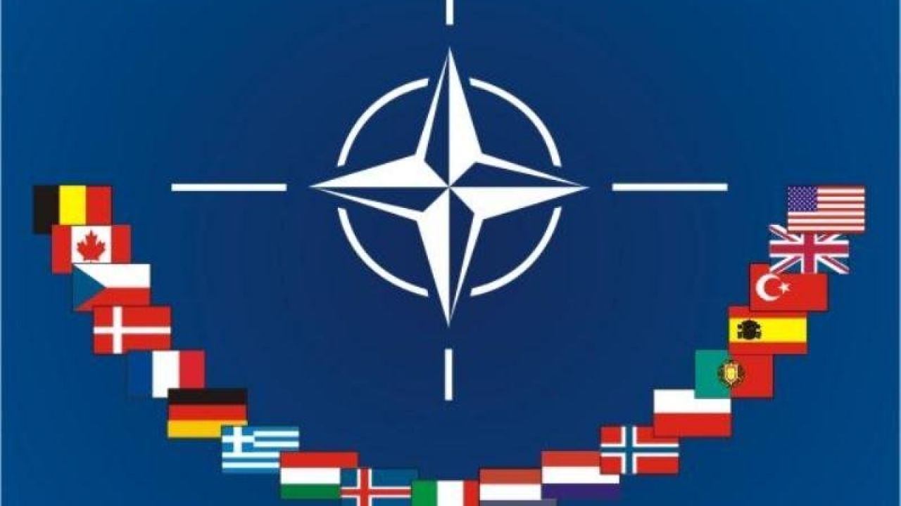 صورة  ما هو حلف الناتو ويكيبيديا