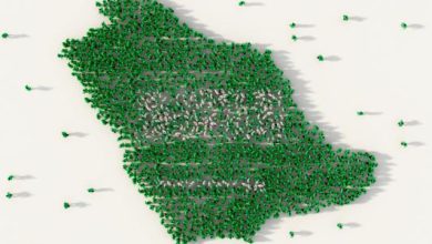 صورة التعداد السكاني للسعودية 2022
