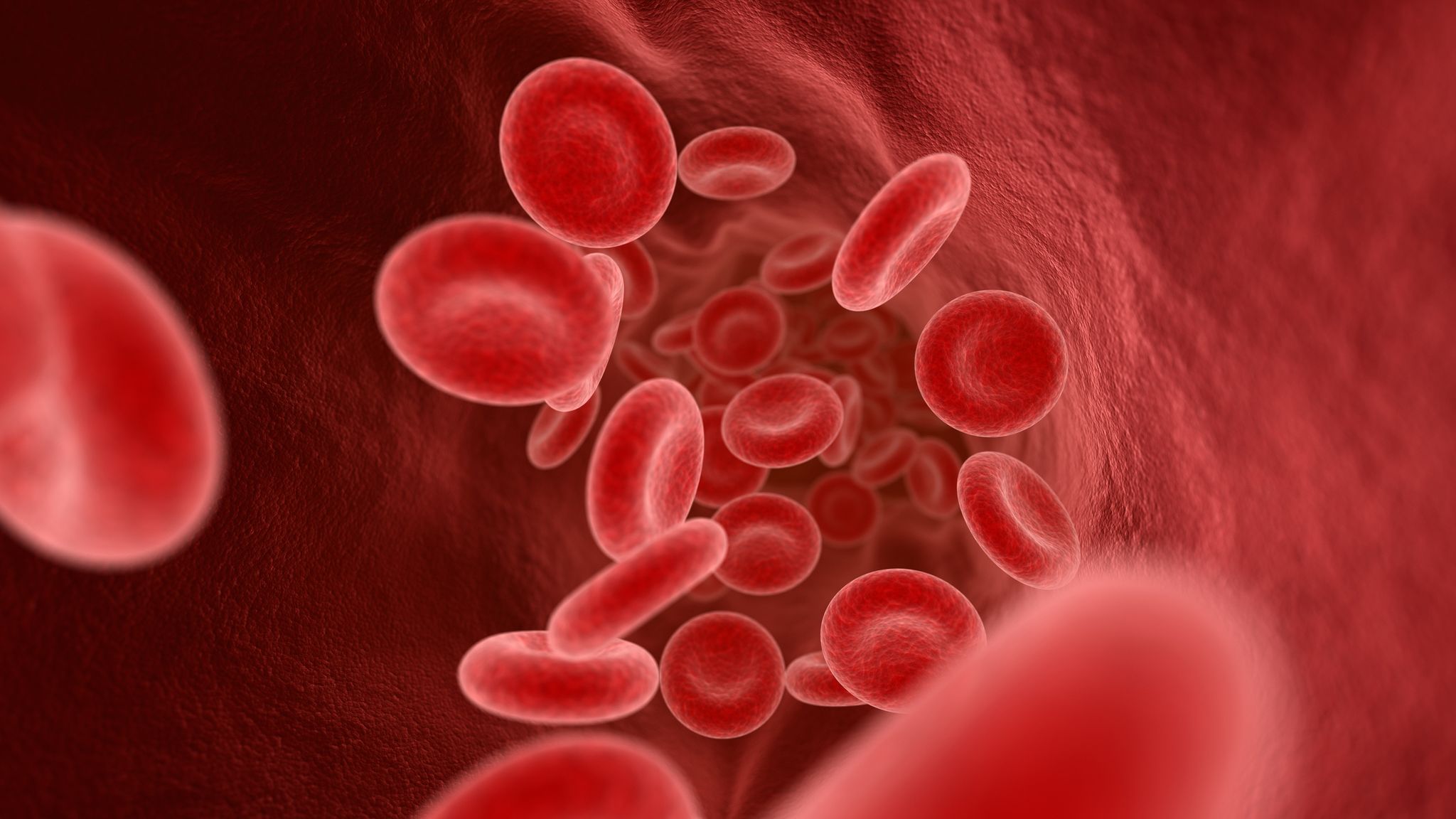 صورة كم خلية دم حمراء يستطيع أنتاجها الجسم في اليوم الواحد ؟