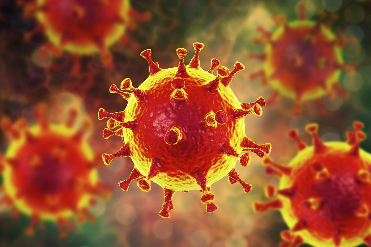 صورة ما الذي يصف معظم أنواع الفيروسات ؟