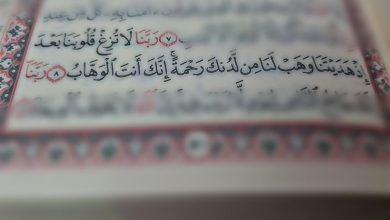 صورة ما معنى يهب في القرآن