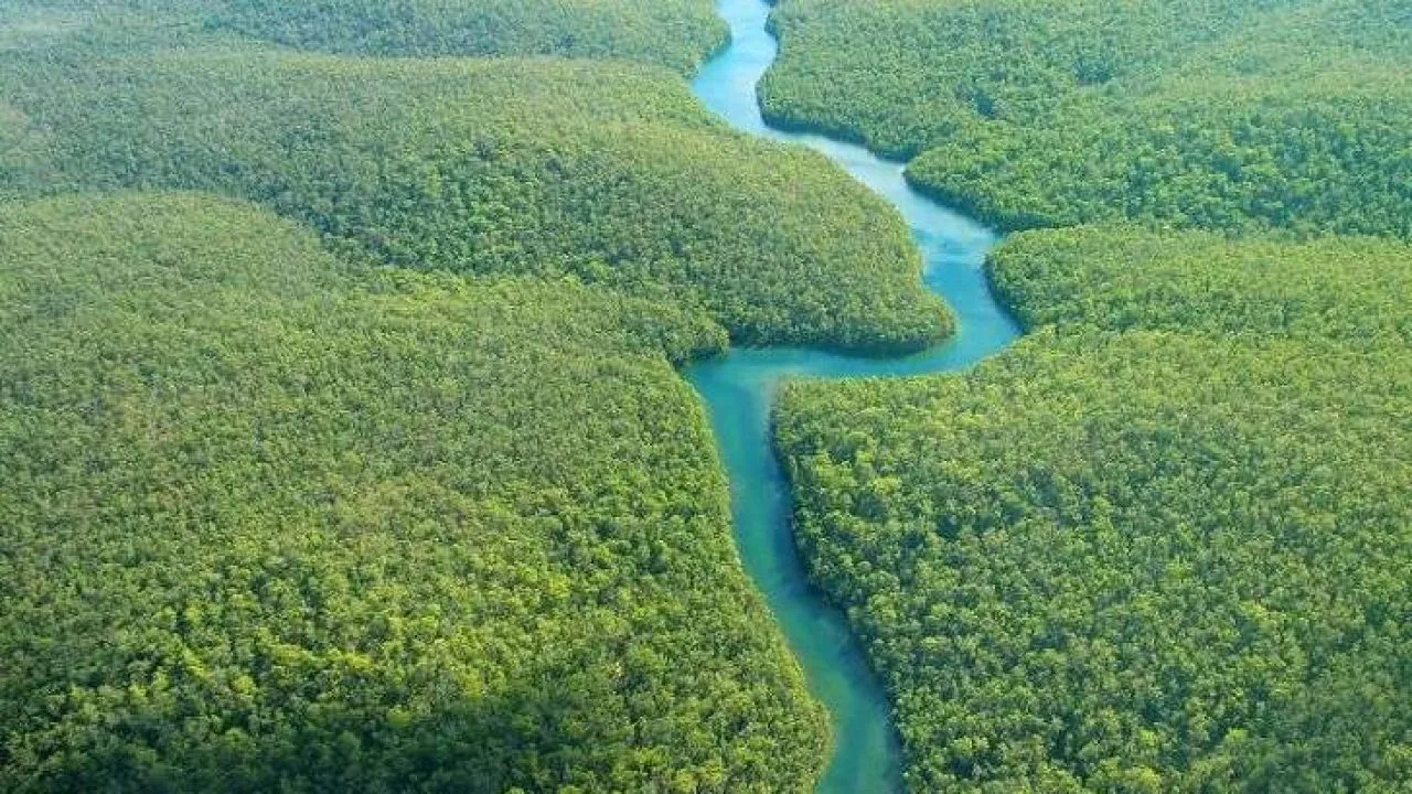 صورة ما هو أطول نهر في العالم واين يقع