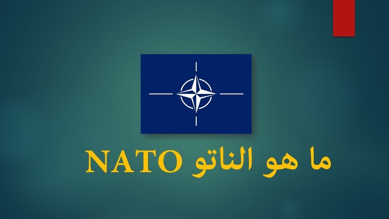 صورة ما هو حلف الناتو ويكيبيديا