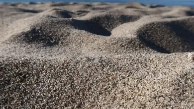 صورة ما هي الرمال الاكثر انتشارا في الارض