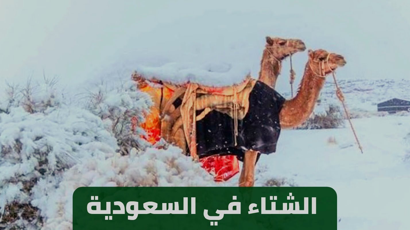 صورة متى فصل الشتاء في السعودية 1444 متى يبدأ الشتاء بالهجري