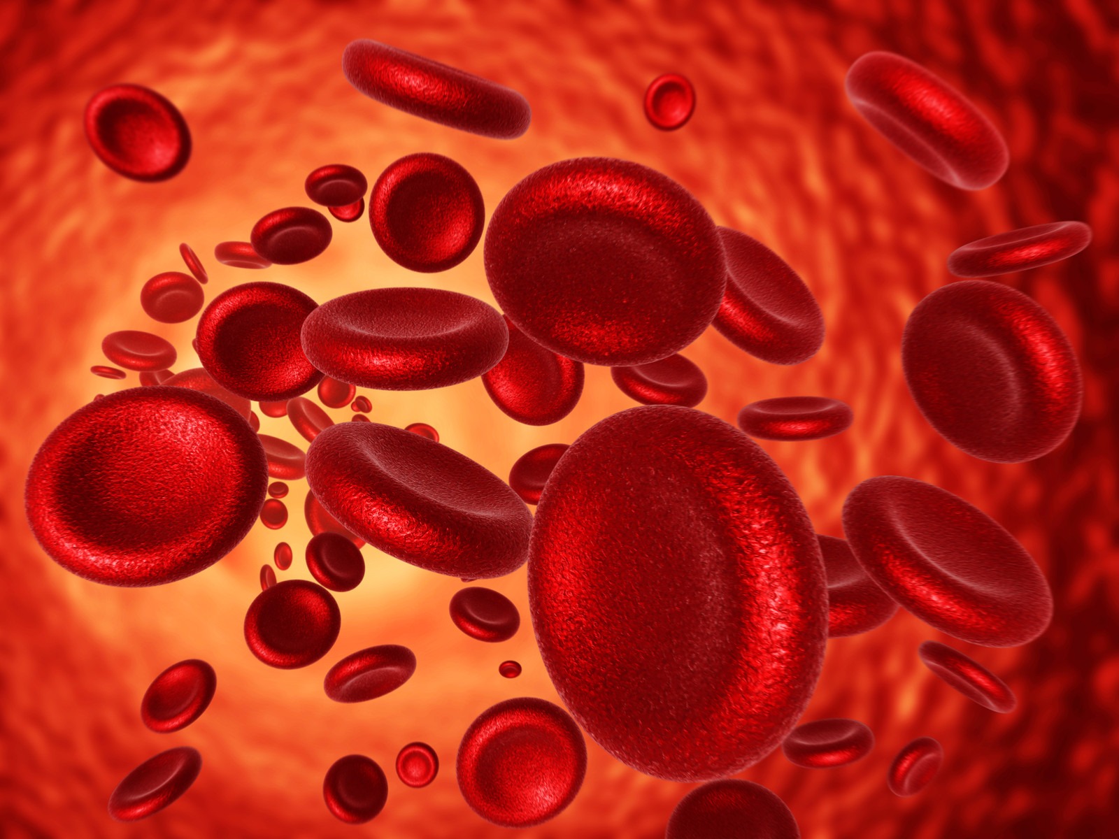 صورة اللوكيميا مرض يصيب خلايا الدم الحمراء