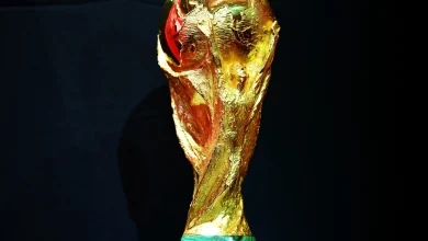 صورة متى ينتهي كأس العالم 2022 قطر