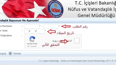 صورة رابط متابعة ملف التجنيس في تركيا 2023