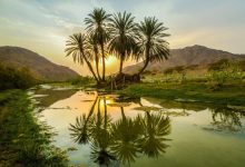 صورة من الاودية في المملكة العربية السعودية وادي بيشة و وادي الحمض
