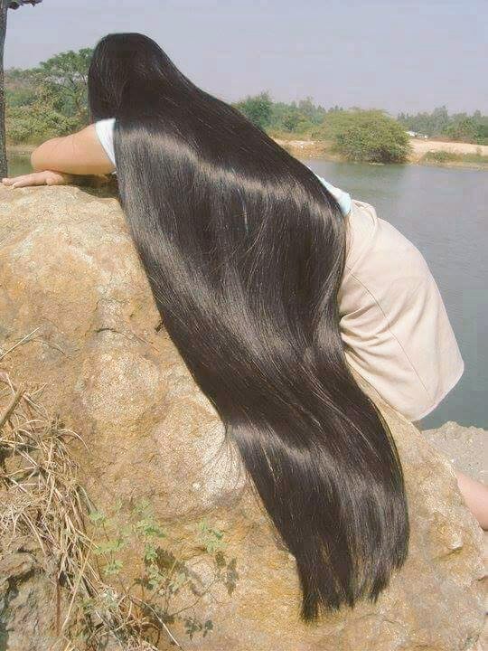 صورة من هو اطول شعر في العالم