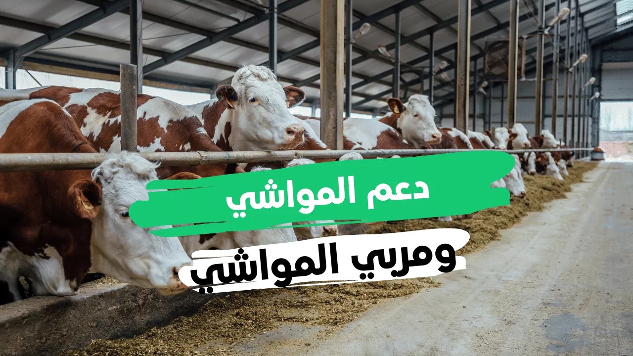 صورة موعد صرف إعانة مربي الماشية 1443 تويتر وزارة البيئة