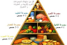 صورة الغذاء يحتوي على مجموعه من الاطعمة التي تحتوي من العناصر الغذائيه ؟