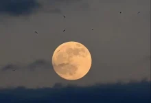 صورة يبدو القمر معتما كما يشاهد من الارض عندما يكون في طور