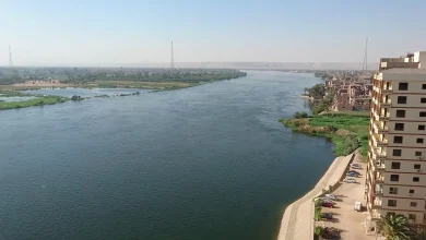 صورة يبلغ طول نهر النيل ٦٨٢٥ كلم تقريبا، تقريب هذا الطول إلى أقرب مئة كلم