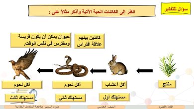 صورة يوضح الرسم البياني أدناه سلسلة غذائية. أي الحيوانات الآتية هو الفريسة، وأيها هو المفترس؟
